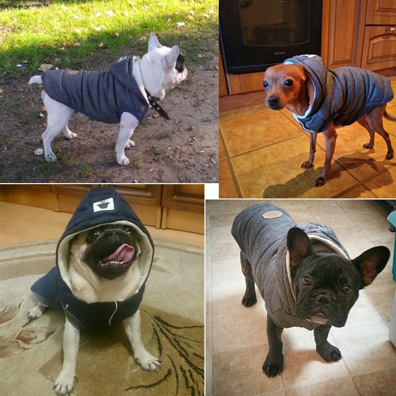 Colete de Inverno para Cachorros | Gentleman